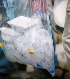 Food Donation & Hunger Relief