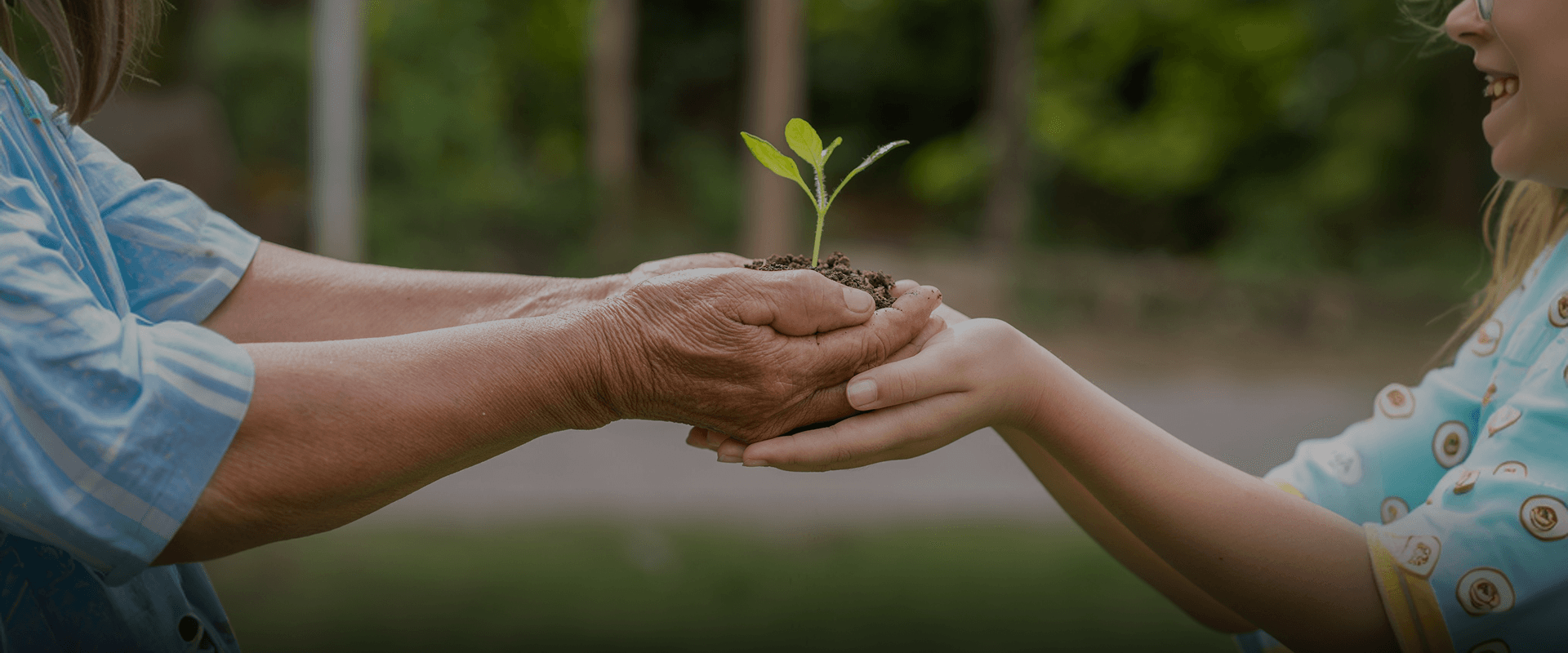 desktop banner image